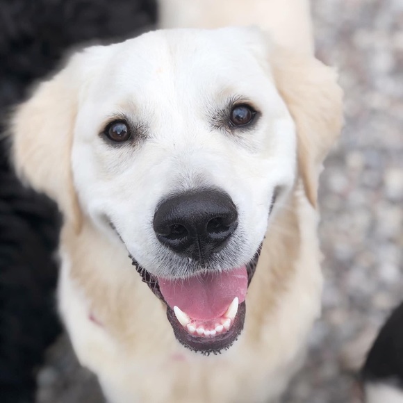 Profile Picture of Donna Foster (@donnafoster444) on Poshmark