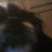 Profile Picture of Danna Hammock (@danna.hammock.35) on Facebook