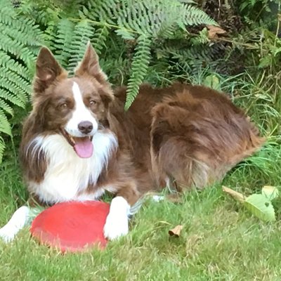 Profile Picture of Ken Weisner (@heat2wave) on Twitter