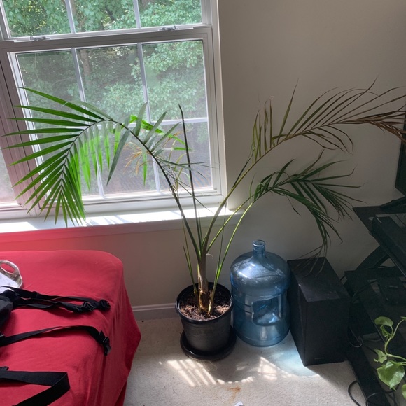 Profile Picture of Leon Derrick (@dvns17) on Poshmark