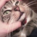 Profile Picture of William Marin (@caco1caco) on Instagram