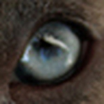 Profile Picture of Victor Ruiz (@Victor Steven Ruiz?) on Flickr