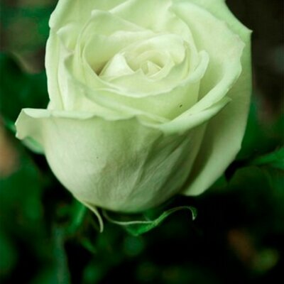 Profile Picture of James W Breckenridge (@jbreckenrdge1) on Twitter