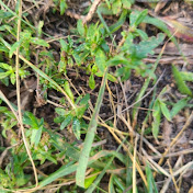 Profile Picture of Alexander Giron (@alexandergiron7852) on Youtube