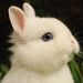 Profile Picture of Mike Chamberlain (@chamberlain6820) on Pinterest