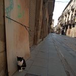 Profile Picture of Graciela Alarcon (@graciela.alarcon.71216) on Instagram