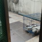 Profile Picture of Gerald Magallones (@Gerald-Magallones) on Facebook