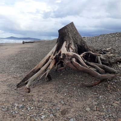 Profile Picture of Dave Pilkington (@DavePilkington9) on Twitter