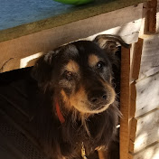 Profile Picture of Justin Perryman (@justinperryman6317) on Youtube