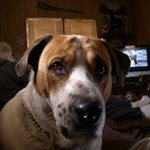 Barry Caswell - Instagram Profile Picture of Barry Caswell (@barrycaswell) on Instagram