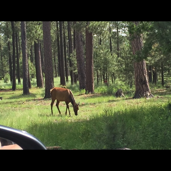 Profile Picture of Dylan Kincade (@kincade2345) on Poshmark