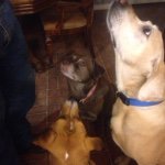 Profile Picture of Lisa Howard-lyday (@lisa_howard_lyday) on Instagram