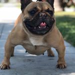 Profile Picture of Tony Vang (@tony.vang.758) on Instagram