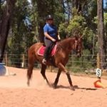 Profile Picture of Jessie Barbour (@jessiehalcyon) on Instagram