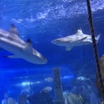 Profile Picture of Ruby Donovan (@Ruby-Donovan) on Facebook