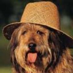 Profile Picture of Richard Doty (@7643dobson) on Twitter