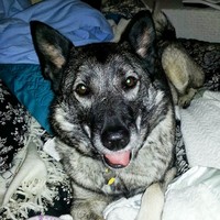 Profile Picture of Debbie Savino (@debbie-savino) on Quora