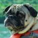 Profile Picture of Jason Moya (@jasonm5898) on Pinterest