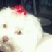 Profile Picture of Christie OBrien (@kissey) on Pinterest
