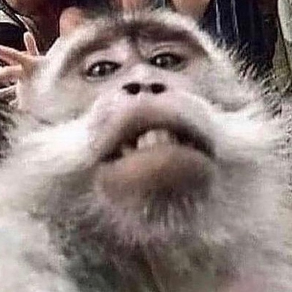 Profile Picture of Ahmad Abdallah (@ahmad_6077) on Poshmark