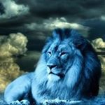 Profile Picture of Peter Chvala (@pechvala) on Instagram