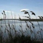 Profile Picture of Victoria Paulina Rohr (@diamantdupere) on Instagram