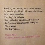 Profile Picture of haglence (@haglence) on Instagram