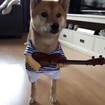 Profile Picture of Connor Mattingly (@ur_boi_barry_b) on Instagram