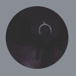 Profile Picture of Ap Bryan (@bryan_royerws) on Instagram