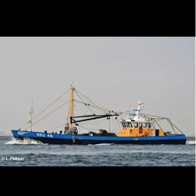 Profile Picture of Kees Verspoor (@keesdekever) on Twitter