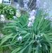Profile Picture of Robert Vandergriff (@robert.vandergriff.50) on Facebook