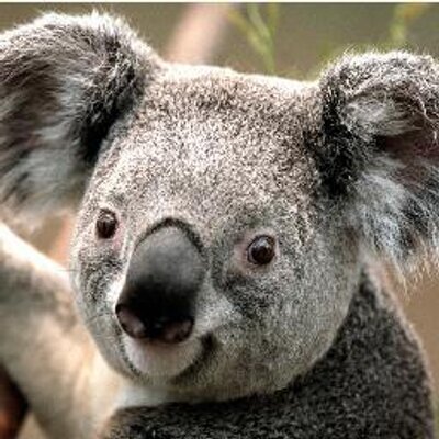 Profile Picture of Samantha Rutter (@samantharutter4) on Twitter