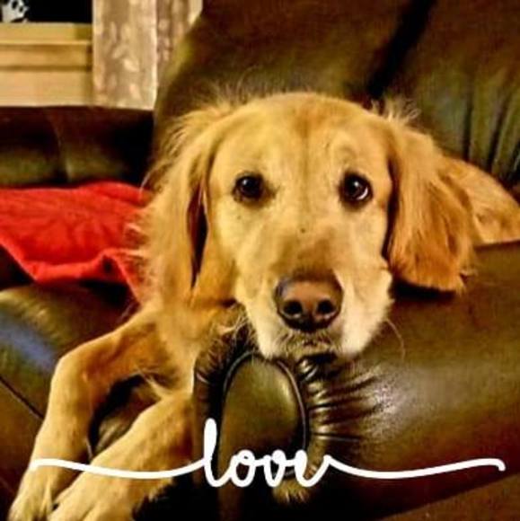 Profile Picture of Tim Fleming (@timfleminglaw) on Poshmark