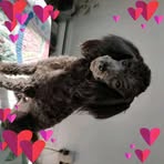 Profile Picture of Nancy Cunningham (@Nancy-Cunningham) on Facebook