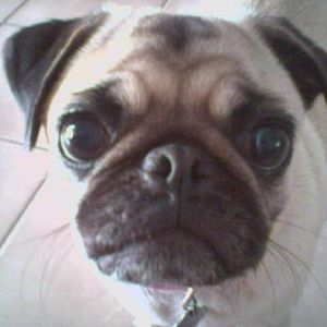 Profile Picture of John Butler (@138497017) on Myspace
