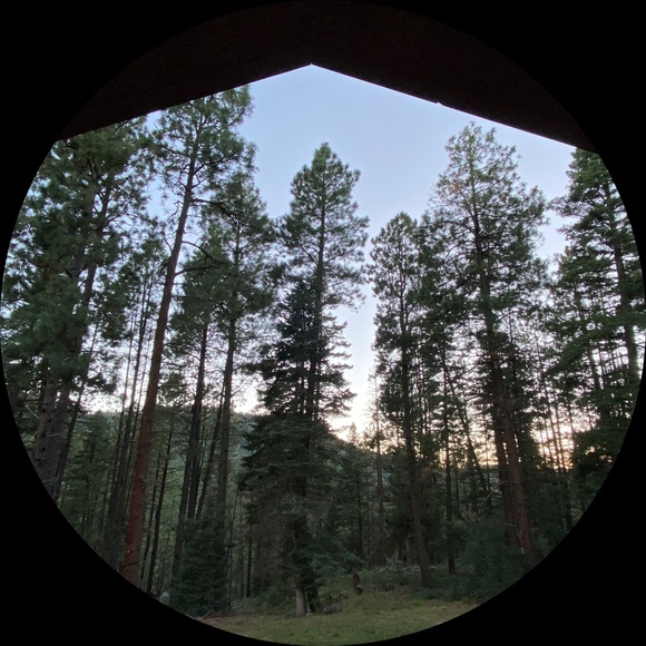 Profile Picture of Inbal Lapid (@freshthreads5) on Poshmark