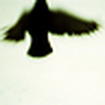 Profile Picture of Pixelkuh (@Фототека им. Зепа) on Flickr