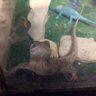 Profile Picture of Allen Colvin (@pat.riley.5602) on Facebook