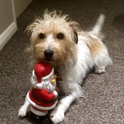 Profile Picture of John Alabaster (@JohnAlabaster2) on Twitter