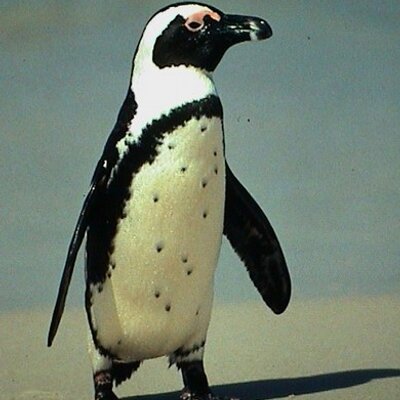 Profile Picture of Kevin Bevan (@irBevan) on Twitter