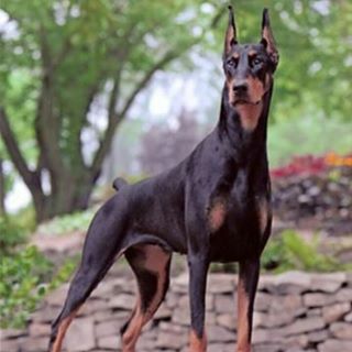 Profile Picture of Alexandra Doperman (@alexandra.doperman.9) on Facebook