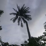 Profile Picture of Carina Lea Stroud🌻 (@carina_lea_) on Instagram