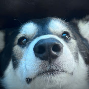 Profile Picture of Carter Bennett (@carterbennett7528) on Youtube