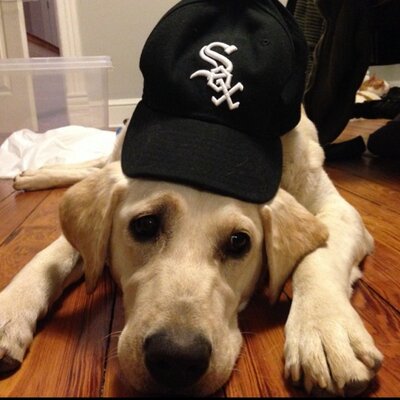 Profile Picture of Reid J. Epstein (@@reidepstein) on Twitter