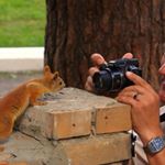 Profile Picture of charlene moses (@moses5237ou) on Instagram