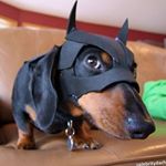 Profile Picture of Martin Mcgrath (@martin.mcgrath.7315) on Instagram