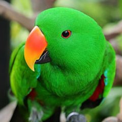 Profile Picture of Dylan Byrnes (@dylanbyrnes8) on Twitter