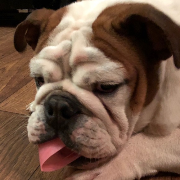 Profile Picture of Ray Munoz (@rayray55555) on Poshmark