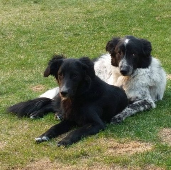 Profile Picture of Paul Petrin (@petrin79) on Poshmark