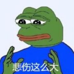 Profile Picture of Gracie Gao (@GracieGao4) on Twitter